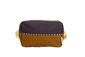 Sticky lemon fanny pack, skate ramp golden cup