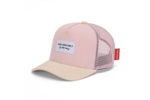 Hello Hossy pet, mini powder pink