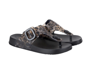 Igor slippers, BARI leo zwart  (maat 36-41)